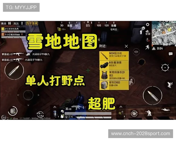 和平精英中常见的违规行为及其对游戏公平性的影响分析